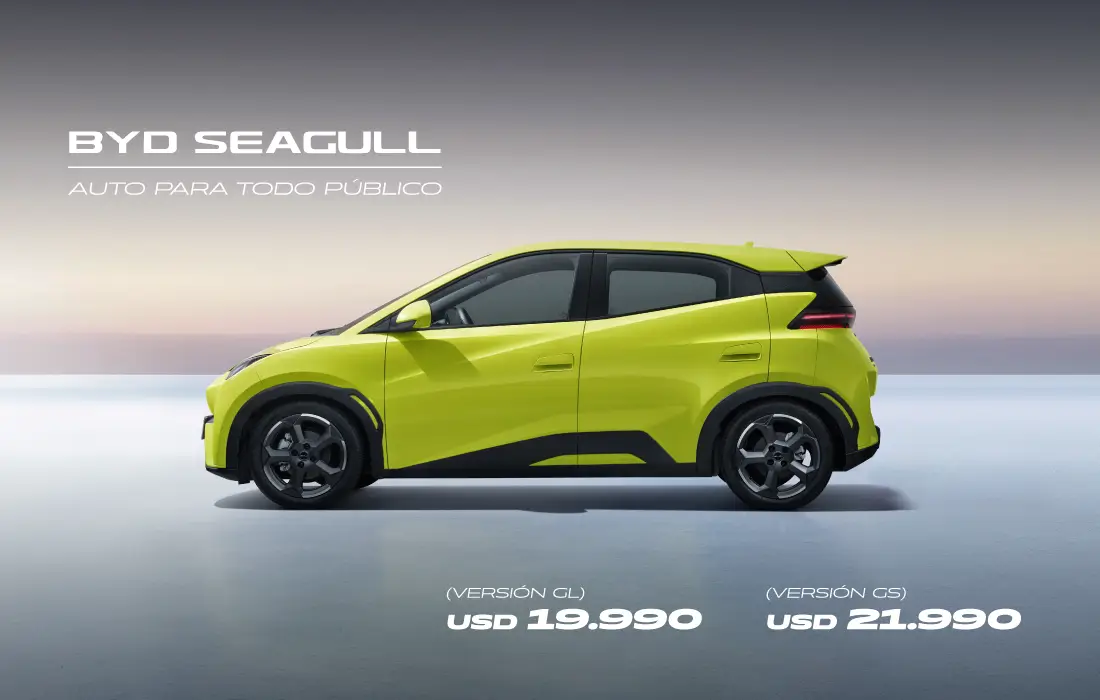 BYD Seagull